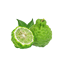 Character - Bergamot