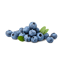 Character - Blueberries