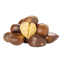 Character - Chestnut
