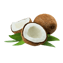 Character - Coconut