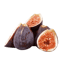 Character - Figs