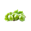 Character - Gooseberry