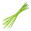 Character - Grass