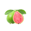 Character - Guava