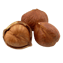 Character - Hazelnut