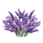 Character - Lavender