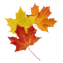 Character - Leaves