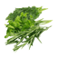Character - Mixed Herb