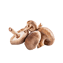 Character - Mushroom