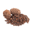 Character - Pine