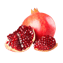 Character - Pomegranate
