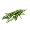 Character - Rosemary