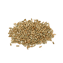 Character - Rye