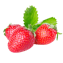 Character - Strawberry