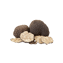 Character - Truffle