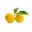 Character - Yuzu