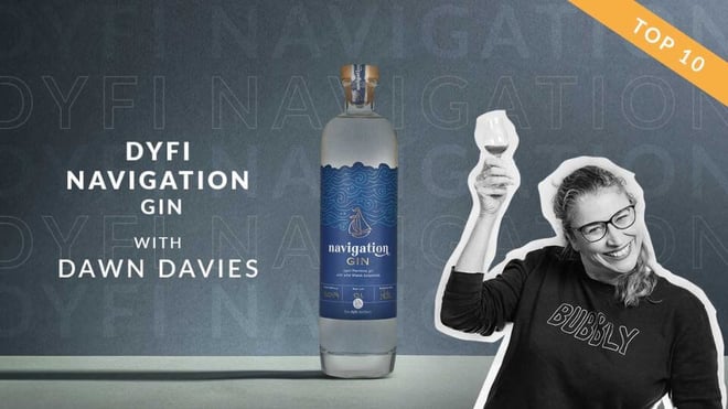 Dyfi Navigation Gin