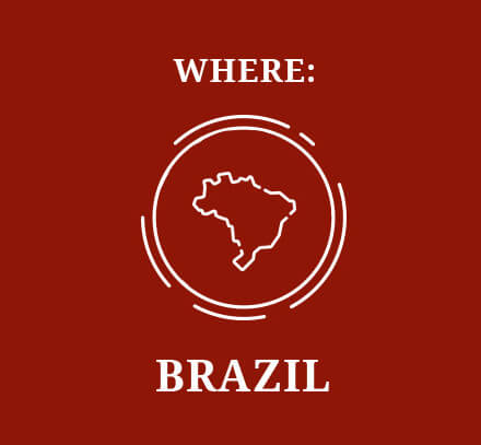 Where: Brazil
