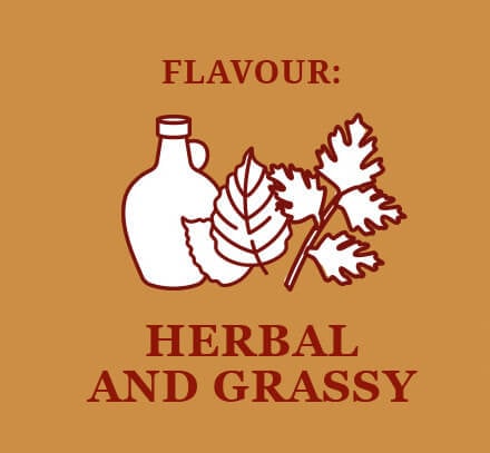 Flavour: Herbal and grassy