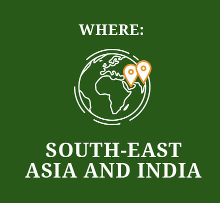 Where: South-east Asia and India