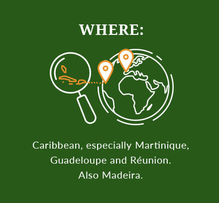 Where: Caribbean, especially Martinique, Guadeloupe and Réunion. Also Madeira.