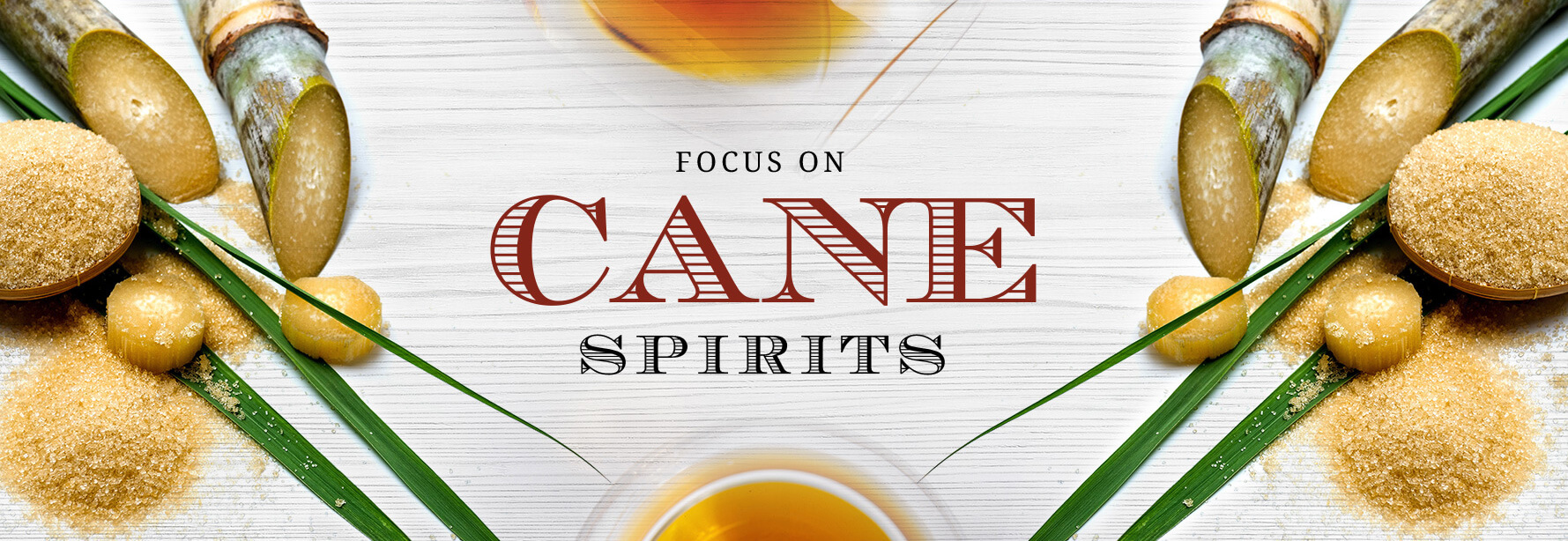 Focus On: Cane Spirits
