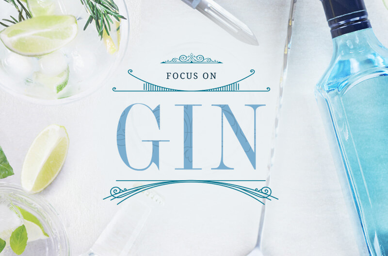 Focus On: Gin