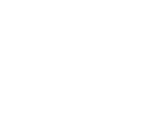 Illustration of Distilled Gin components