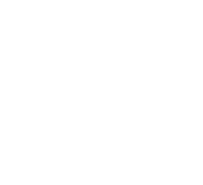Illustration of London Dry Gin components