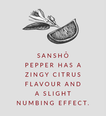 Sanshō pepper has a zingy citrus flavour and a slight numbing effect.