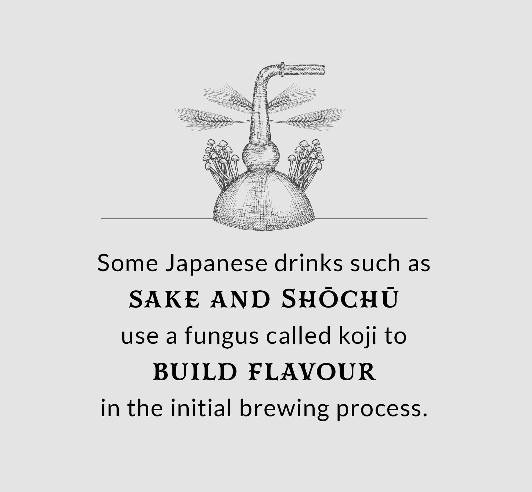 Some Japanese drinks such as Sake and Shōchū use a fungus called Koji to build flavour in the initial brewing process.