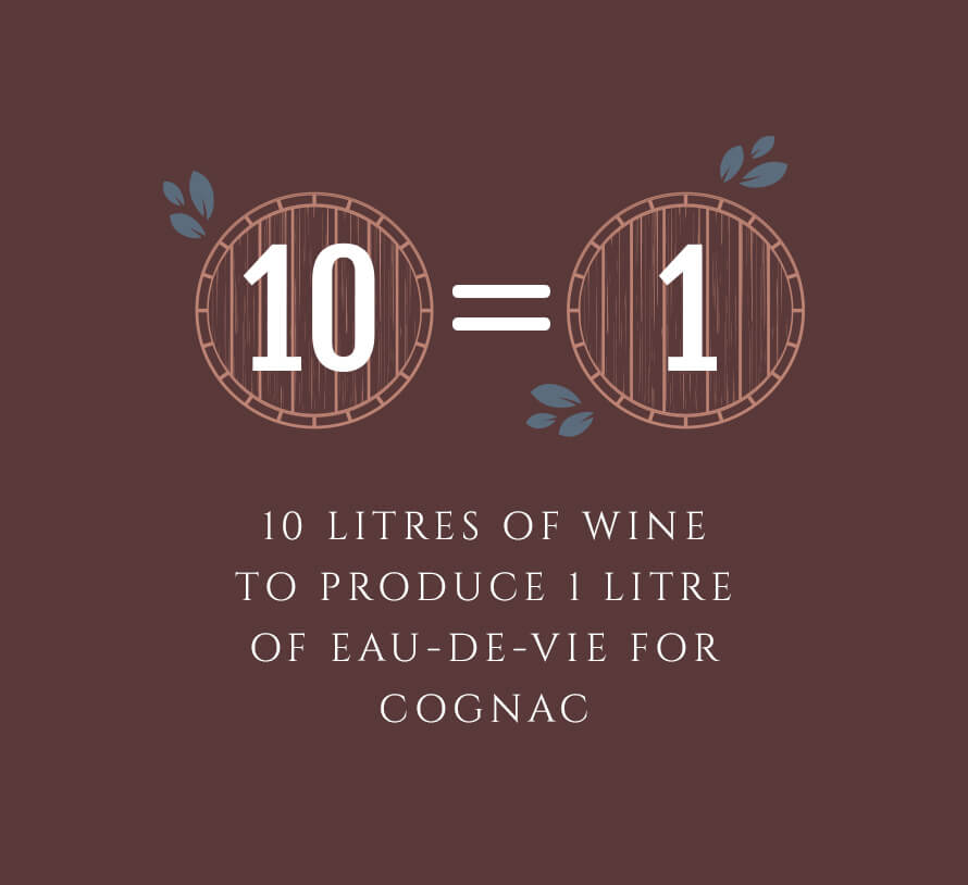 It takes 10 litres of wine to produce 1 litre of eau-de-vie for Cognac