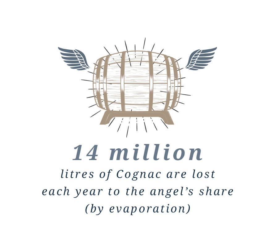 14 million litres of Cognac are lost each year to the angel's share (by evaporation)