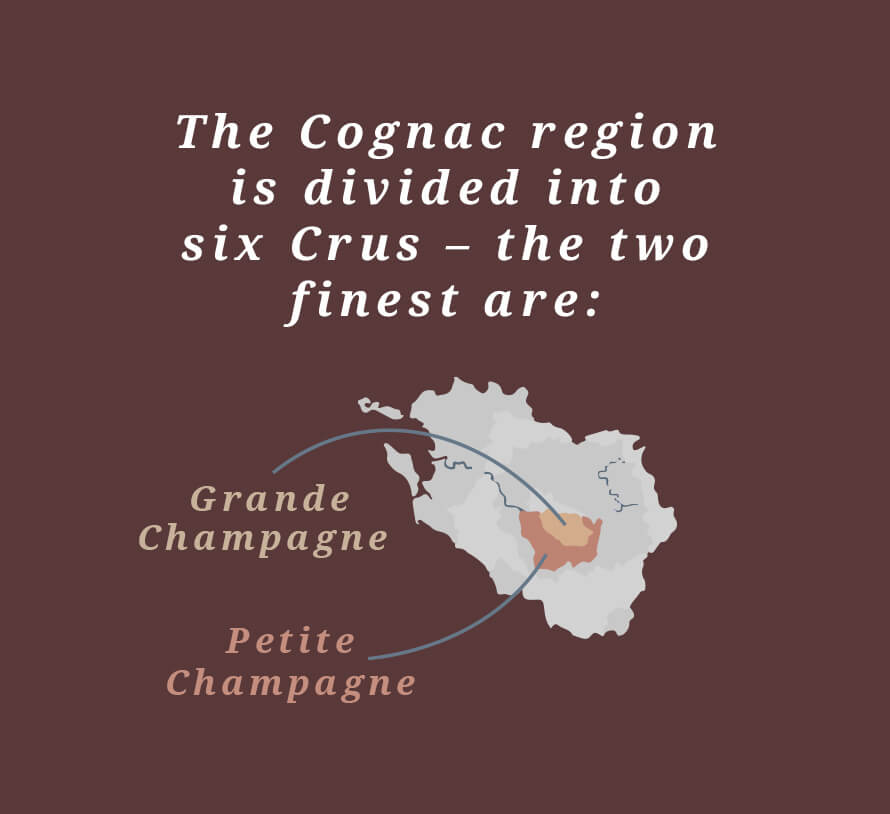 The Cognac region is divided into six Crus - the two finest are Grande Champagne and Petite Champagne