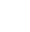Palmer's Gin Logo
