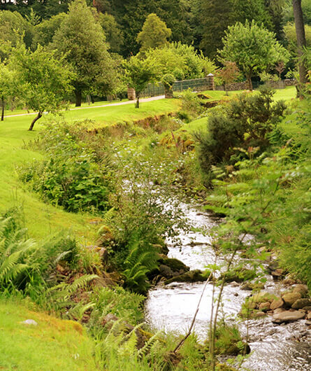 Beautiful scenery at Glen Grant