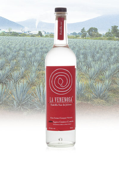 La Venenosa Sur Raicilla