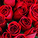 Valentines Option 4