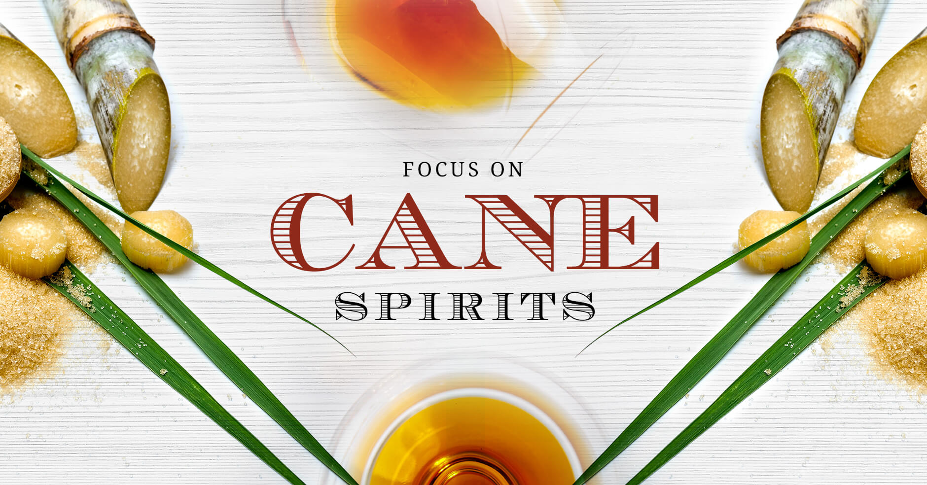 Focus On Cane Spirits The Whisky Exchange