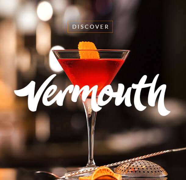 Focus on Vermouth