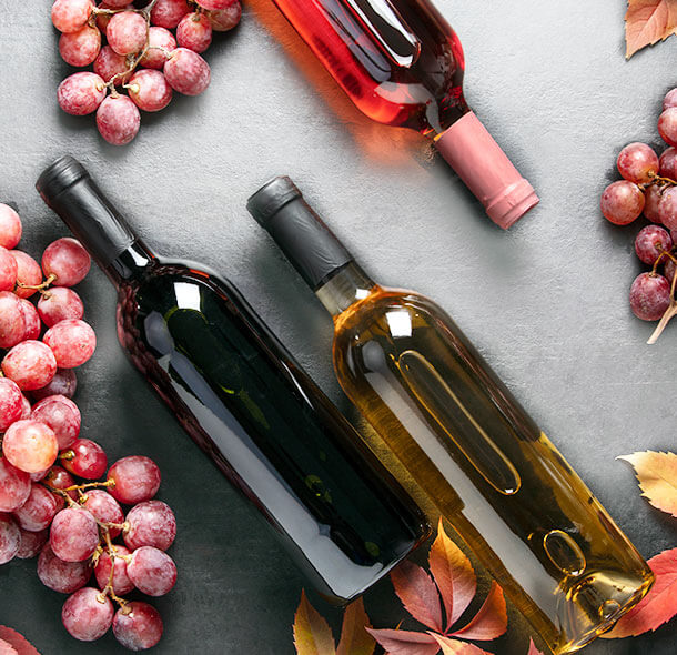 New In Wines