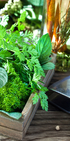 Herb Liqueurs