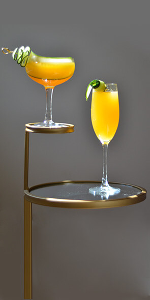 Cocktail Glasses