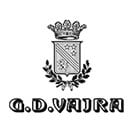 GD Vajra