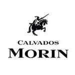 Morin