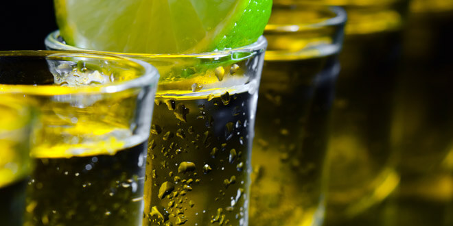 Raicilla, Sotol and Bacanora