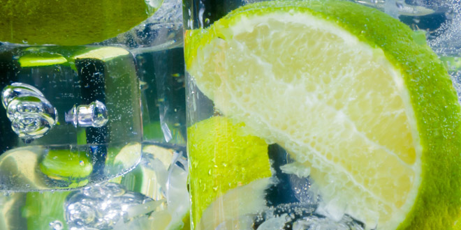 Gin and Jenever