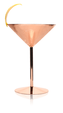 Wet Gin Martini