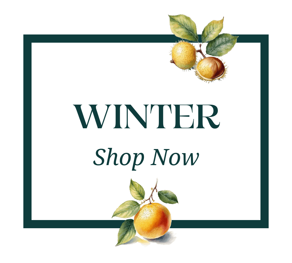 The Seasons: Winter