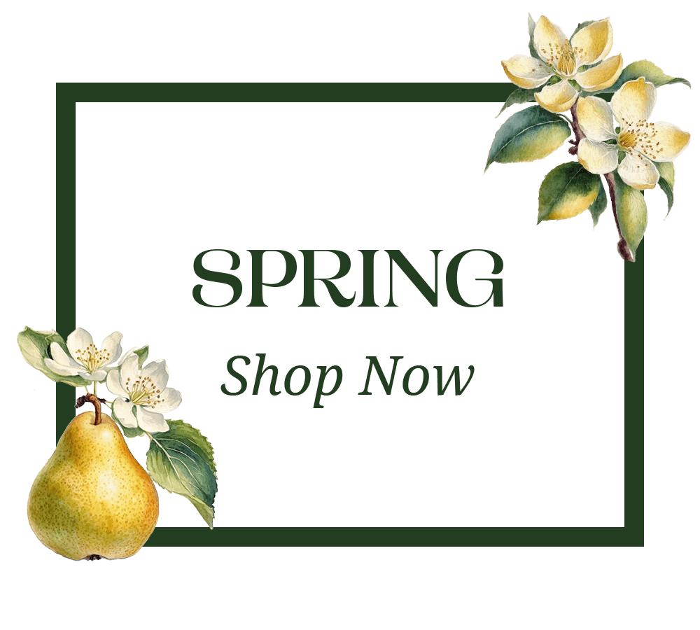 The Seasons: Spring